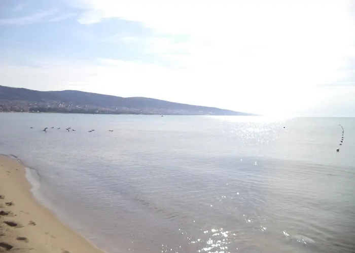 Guest Dental Space 公寓式酒店 3*