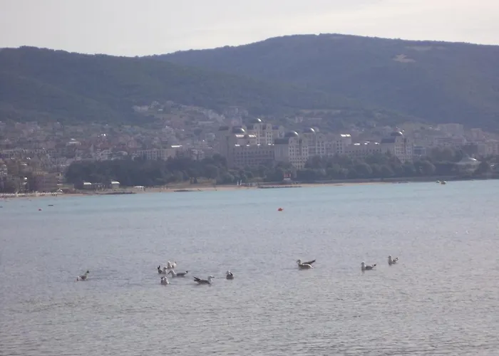 شقة فندقية Guest Dental Space 3*