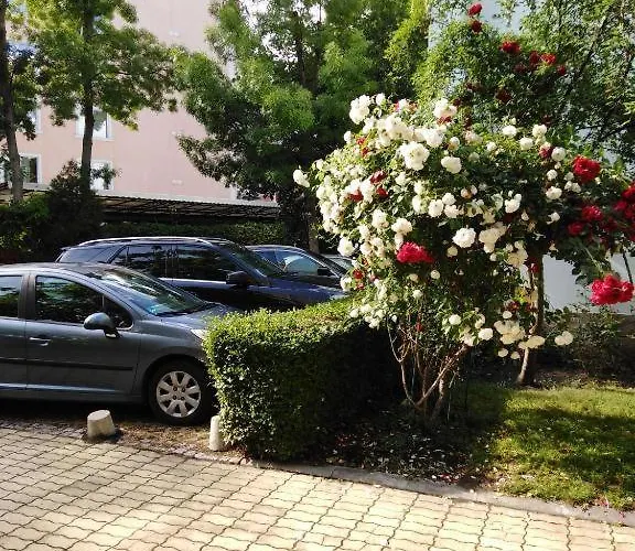 Guest Dental Space 3*